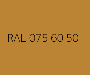 Szín RAL 075 60 50 