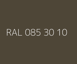 Szín RAL 085 30 10 